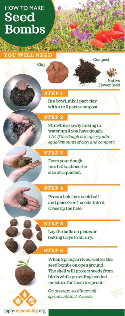 Diy Seed Bombs Apply Responsibly Apply Responsibly 